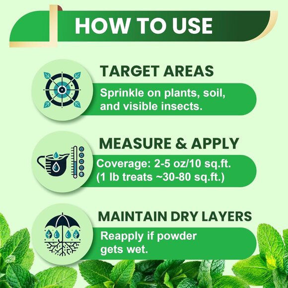 Diatomaceous Earth 1 lb Natural Peppermint Powder Safe for Home & Garden - Picture 4 of 8